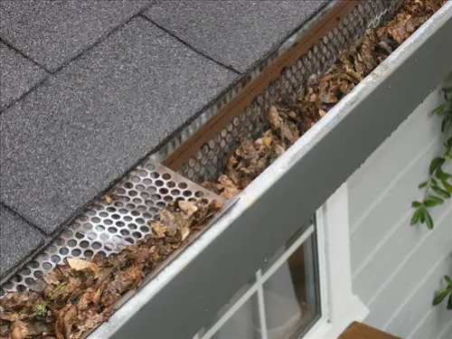 Gutter-Cleaning-Services--in-Kissimmee-Florida-gutter-cleaning-services-kissimmee-florida.jpg-image
